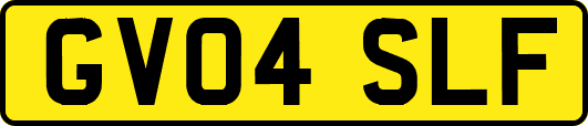 GV04SLF