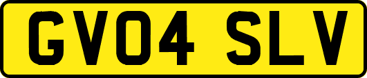 GV04SLV