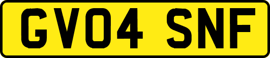 GV04SNF