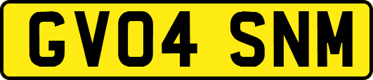GV04SNM