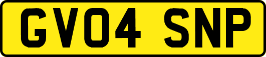 GV04SNP