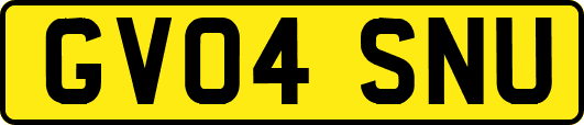 GV04SNU