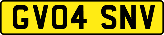 GV04SNV