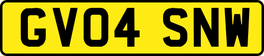 GV04SNW