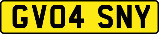 GV04SNY
