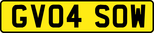 GV04SOW