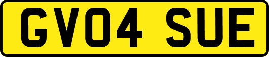 GV04SUE