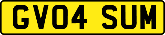 GV04SUM