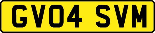 GV04SVM