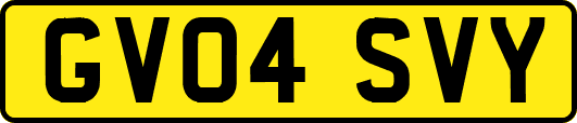 GV04SVY