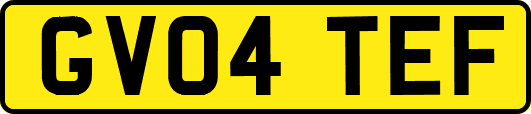 GV04TEF
