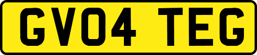 GV04TEG