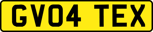 GV04TEX