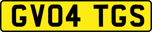 GV04TGS