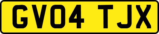 GV04TJX