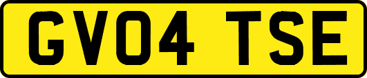 GV04TSE