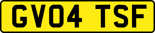 GV04TSF