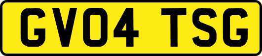 GV04TSG