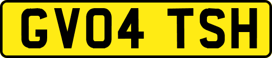 GV04TSH