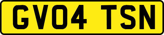 GV04TSN