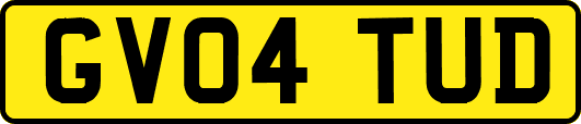 GV04TUD