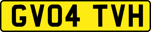 GV04TVH