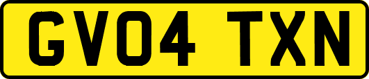 GV04TXN