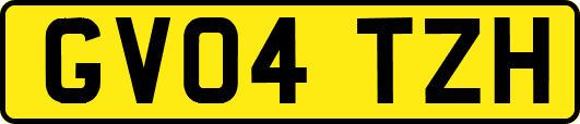 GV04TZH