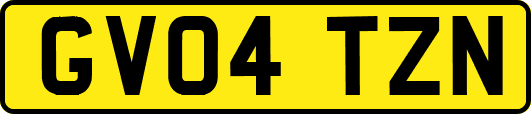 GV04TZN