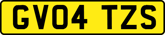 GV04TZS