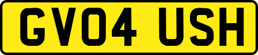GV04USH