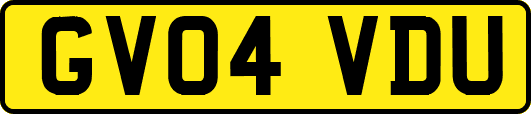 GV04VDU