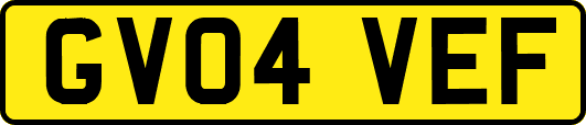 GV04VEF