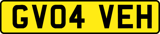 GV04VEH