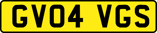 GV04VGS