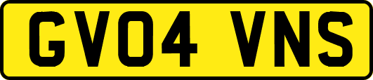 GV04VNS