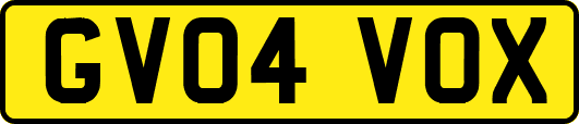 GV04VOX