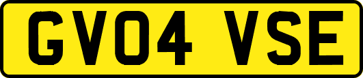 GV04VSE