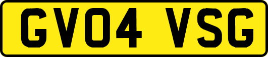 GV04VSG