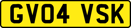 GV04VSK