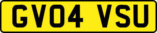 GV04VSU