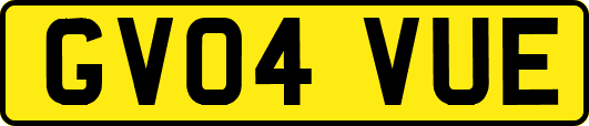 GV04VUE