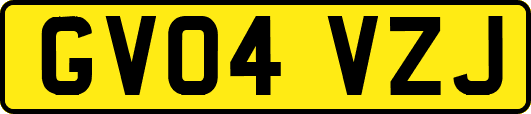 GV04VZJ
