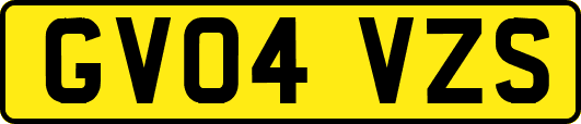 GV04VZS