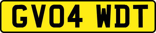 GV04WDT
