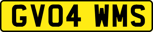 GV04WMS
