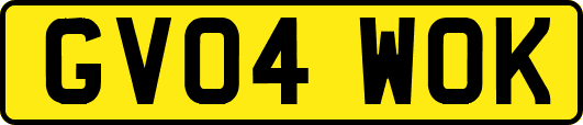 GV04WOK