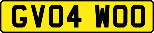 GV04WOO