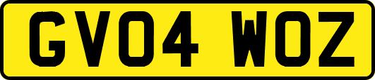 GV04WOZ