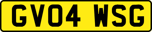 GV04WSG